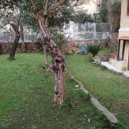 Sele Rome